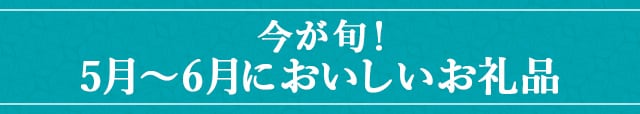 今が旬！《5月～6月においしいお礼品》