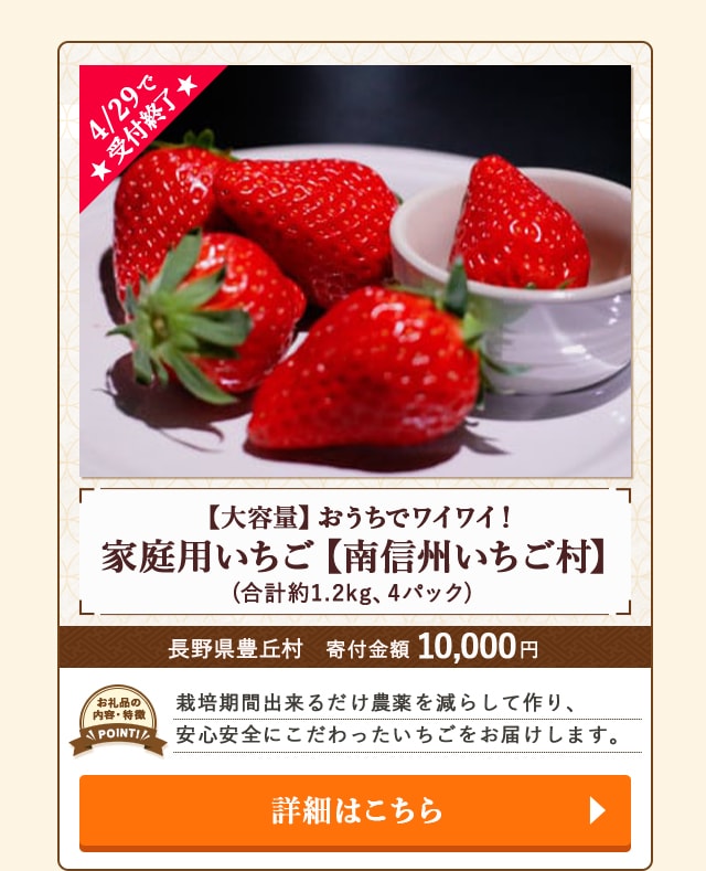 「【大容量】おうちでワイワイ！家庭用いちご【南信州いちご村】」(合計約1.2kg、4パック)/長野県豊丘村（寄付金額 10,000円）