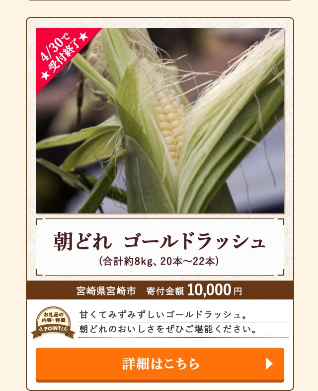 「朝どれ ゴールドラッシュ」(合計約8kg、20本～22本)/宮崎県宮崎市（寄付金額 10,000円）