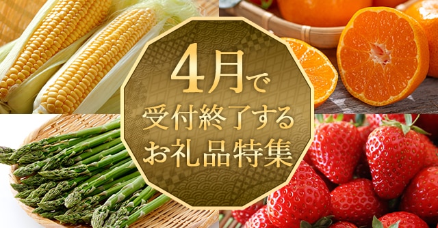 ４月で受付終了するお礼品特集