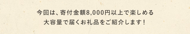 今回は、寄付金額8,000円以上で楽しめる大容量で届くお礼品をご紹介します！