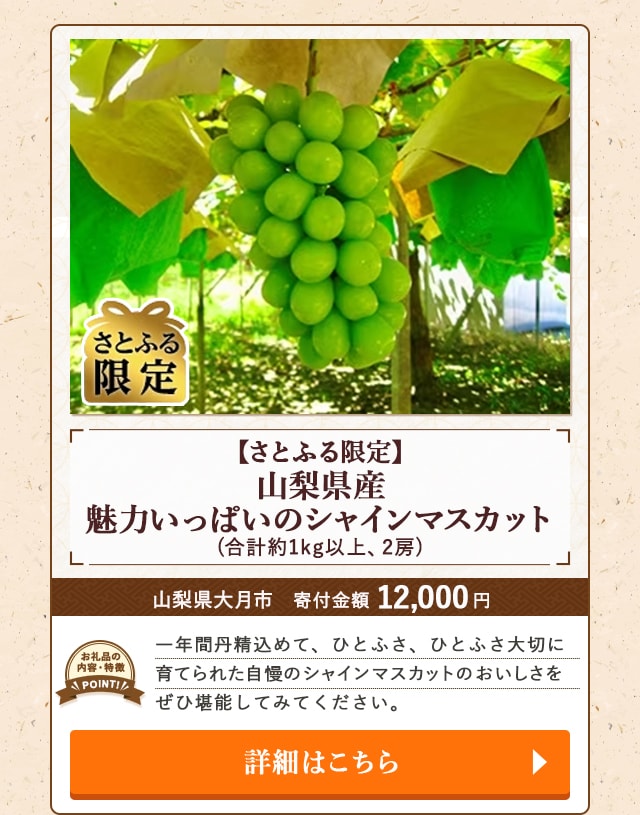 ★「【さとふる限定】山梨県産魅力いっぱいのシャインマスカット」(合計約1kg以上、2房)/山梨県大月市