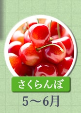 さくらんぼ　5月～6月