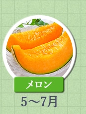 メロン　5月～7月