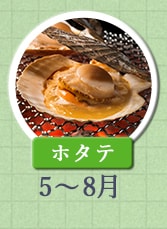 ホタテ　5月～8月