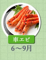 車えび　6月～8月