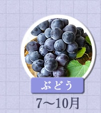 ぶどう　7月～10月