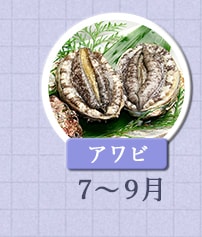 アワビ　7月～9月