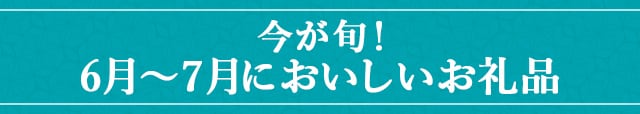 今が旬！《６月～７月においしいお礼品》