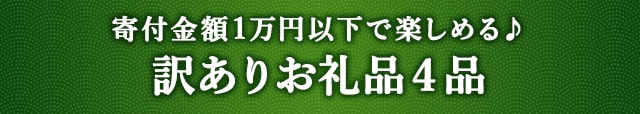 《寄付金額1万円以下で楽しめる♪》訳ありお礼品４品