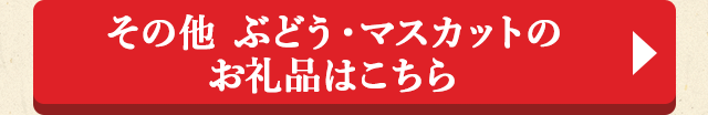 ◎その他 ぶどう・マスカットのお礼品はこちら◎