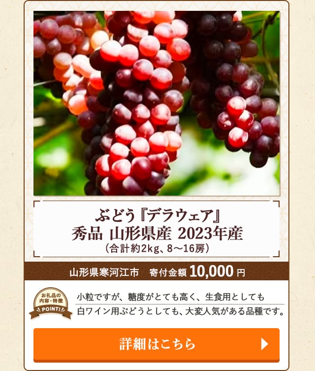 ぶどう『デラウェア』秀品 山形県産 2023年産」(合計約2kg、8～16房)/山形県寒河江市