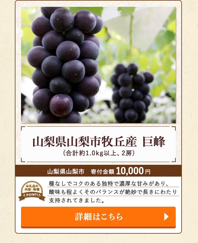 「山梨県山梨市牧丘産 巨峰」(合計約1.0kg以上、2房)/山梨県山梨市