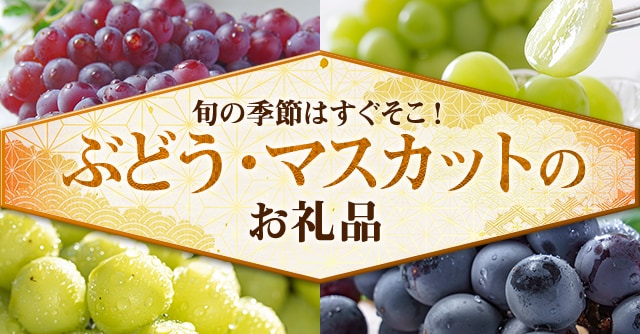 《毎年人気のフルーツ！》ぶどう・マスカットのお礼品４品