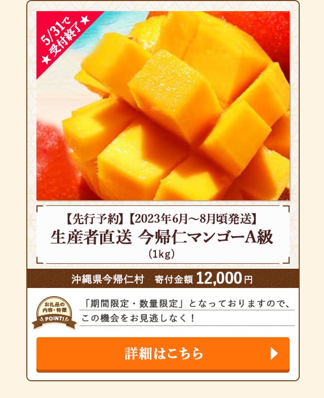 「【先行予約】生産者直送 今帰仁マンゴーA級【2023年6月～8月頃発送】」(1kg)/沖縄県今帰仁村