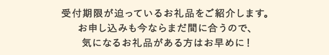 受付期限が迫っているお礼品をご紹介します。お申込みも今ならまだ間に合うので、気になるお礼品がある方はお早めに！