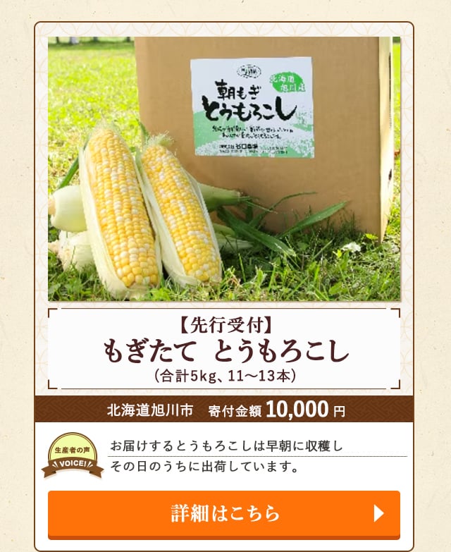 「【先行受付】もぎたて とうもろこし」(合計5kg、11～13本)/北海道旭川市