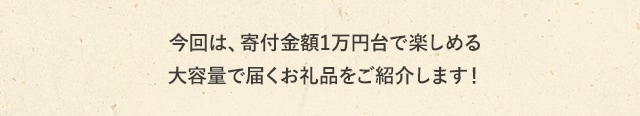 今回は、寄付金額1万円台で楽しめる大容量で届くお礼品をご紹介します！