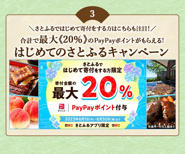 ＼さとふるではじめて寄付をする方はこちらも注目！／合計で最大《20％》のPayPayポイントがもらえるキャンペーン開催中！
