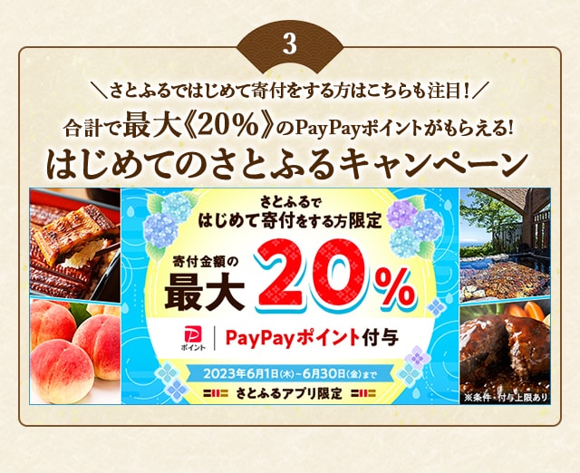 ＼さとふるではじめて寄付をする方はこちらも注目！／合計で最大《20％》のPayPayポイントがもらえる「はじめてのさとふるキャンペーン」開催中！