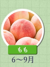 もも　6月～9月