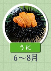 うに　6月～8月