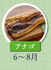 アナゴ　6月～8月