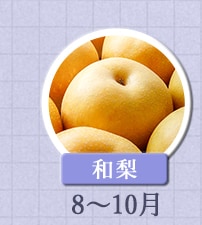 和梨　8月～10月