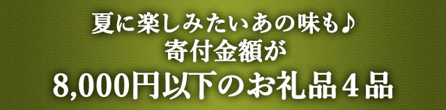 《夏に楽しみたいあの味も♪》寄付金額が8,000円以下のお礼品４品