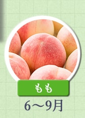 もも　6月～9月