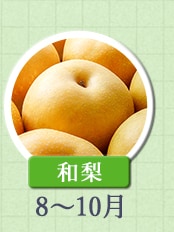和梨　8月～10月