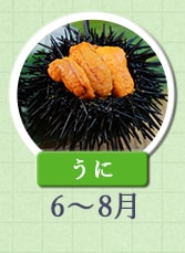 うに　6月～8月