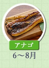 アナゴ　6月～8月