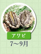アワビ　7月～9月
