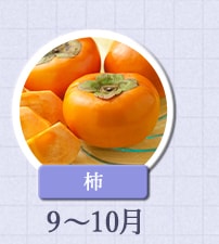 柿　9月～10月