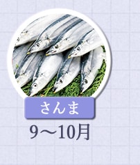 さんま　9月～10月