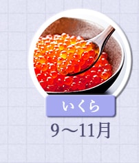 いくら　9月～11月