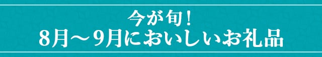 今が旬！《8月～9月においしいお礼品》