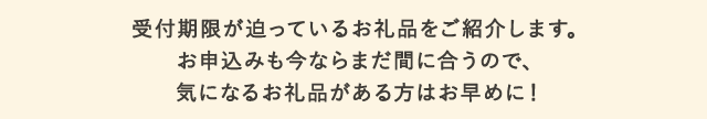 受付期限が迫っているお礼品をご紹介します。お申込みも今ならまだ間に合うので、気になるお礼品がある方はお早めに！
