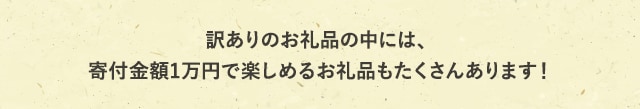 訳ありのお礼品の中には、寄付金額1万円で楽しめるお礼品もたくさんあります！