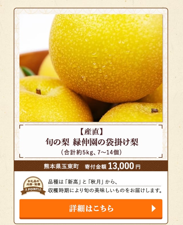 「【産直】旬の梨 緑伸園の袋掛け梨」(合計約5kg、7～14個)/熊本県玉東町