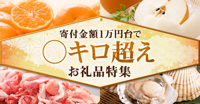 【寄付金額1万円台で〇キロ超え☆】3kg以上届くお礼品４品