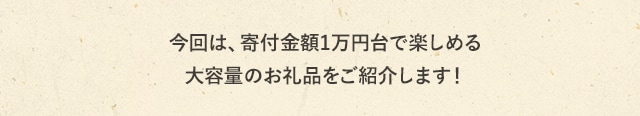 今回は、寄付金額1万円台で楽しめる大容量で届くお礼品をご紹介します！