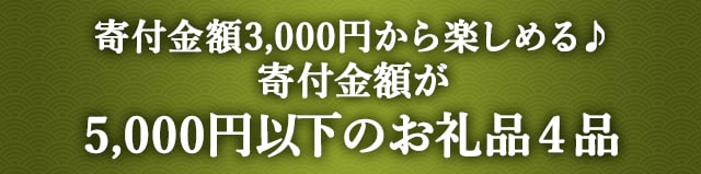 《寄付金額3,000円から楽しめる♪》寄付金額が5,000円以下のお礼品４品