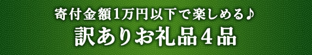 《寄付金額1万円以下で楽しめる♪》訳ありお礼品４品