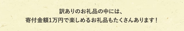 訳ありのお礼品の中には、寄付金額1万円で楽しめるお礼品もたくさんあります！