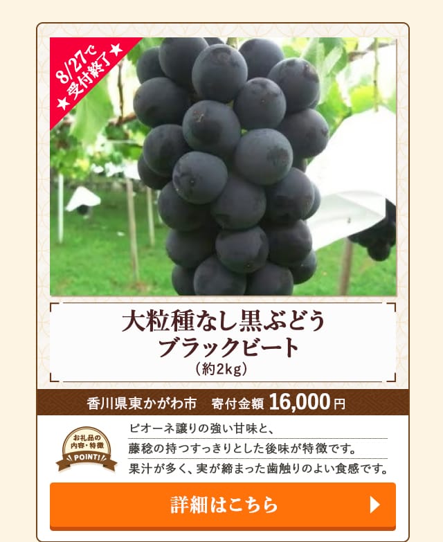 「大粒種なし黒ぶどう ブラックビート」(約2kg)/香川県東かがわ市