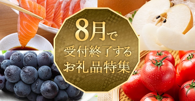 《見逃し厳禁！》8月で受付終了するお礼品【さとふる通信】