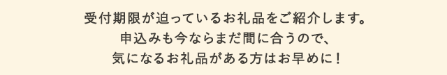 受付期限が迫っているお礼品をご紹介します。お申込みも今ならまだ間に合うので、気になるお礼品がある方はお早めに！