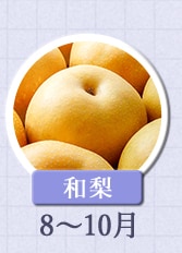 和梨　8月～10月